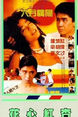 理论片福利理论电影